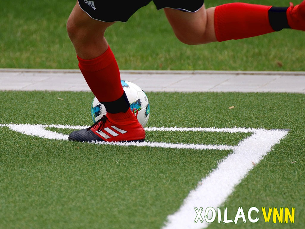 video-highlight-bong-da-xoilac-tv